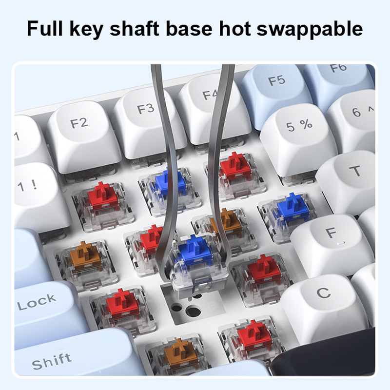 AULA S100Pro Wireless Mechanic - đánh giá và giá Gaming Keyboard Type C